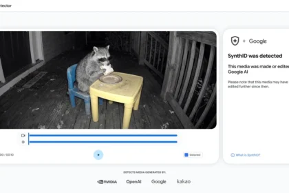 Interface de SynthID Detector analysant une vidéo de raton laveur