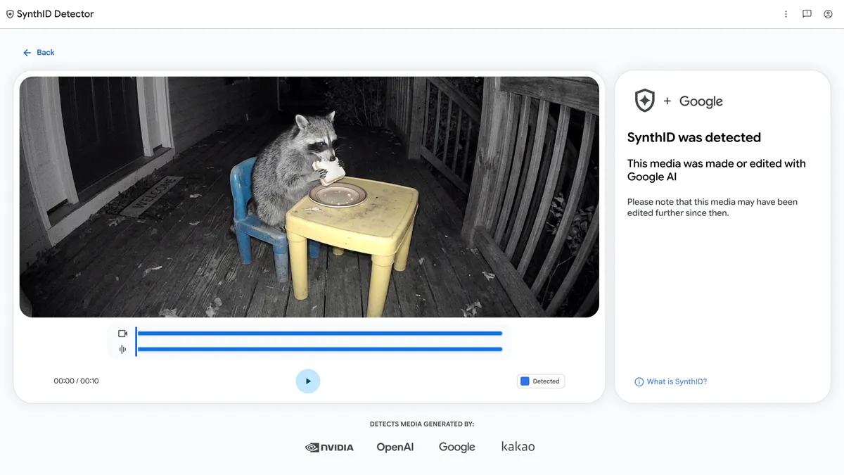 Interface de SynthID Detector analysant une vidéo de raton laveur