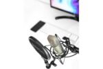 Microphone de studio et filtre anti-pop devant un ordinateur